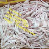 Chicken Defeather Machine / A Model Industrial Chicken Plucking Machine thumbnail-4