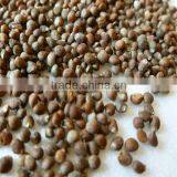 Kosher Approved Organic Perilla Seed Oil thumbnail-3