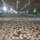 Automatic Chicken House Equipment For Poultry Chicken Farm thumbnail-2