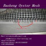 Square Hole Plastic Oyster Bag,Oyster Mesh,Oyster Bag,HDPE Oyster Mesh thumbnail-4