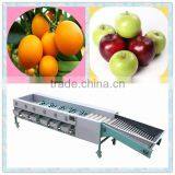 High Efficiency Automatic Garlic Grading/Sorting/Choosing Machine(SMS:0086-15903675071)