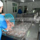 Bubble Fruit and Vegetable Industrial Washing Machine thumbnail-4