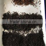 Automatic 5388 Pixel CCD Black Tea Color Sorter Machine VV thumbnail-2