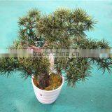 Home Garden Decoration 50cm to 160 cm Hight Small Indoor Canadian Artificial Green Pot Plastic Similar Pine Trees ELSPZ02 0906 thumbnail-5