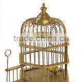 Bird Nest thumbnail-1