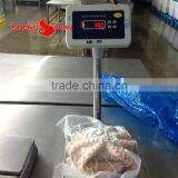 Baby Octopus thumbnail-5