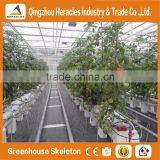 Heracles Trade Assurance Hydroponic Grow Systems Greenhouse thumbnail-6