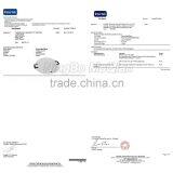 Snow Tube Sledding Saucer Disc Sled Foam Flyer 26" Snow Foam Sled Winter Sports Child Outdoor Winter Sledding Toboggan Sledge thumbnail-5