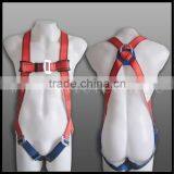 Leather Body Harness