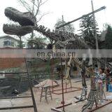 2015 Dinosaur Skeleton Model for Dinosaur Park for Kid thumbnail-1
