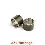 AST Bearing