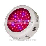 UFO LED Grow Light Greenhouse Darkroom Plant Flower Grow Lamp Lighting Indoor 50W LED Red+Blue Mini Hydroponic Light thumbnail-5