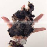 Organic Dried Black Fungus Mushroom From China