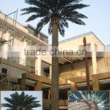 2015 Artificial 3-30m Indoor or Outdoor Canary Date Palm Tree,artificial Tree,artificial Plant thumbnail-4