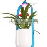 LED Decoration Light With Plant thumbnail-4
