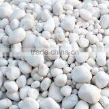 White Cobbles & Pebbles thumbnail-2