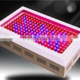 LED Plant Grow Light for Cultivation thumbnail-1