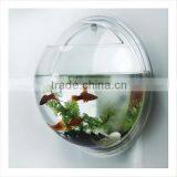 Wall Mounted Acrylic Fancy Fish Tank thumbnail-1