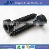 High Quality Socket Head Self Tapping Screw thumbnail-1