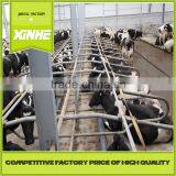Low Price and Fine Supplier Cattle Pen Layout thumbnail-1