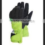 Ski Gloves