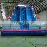 Inflatable Amusement Park, Giant Inflatable Kids Slides