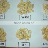 Dried Style Vietnam Cashew Nuts/ Cashew Kernels Ww240/ Ww320/ Ws/ lp