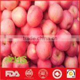 Export China Fresh Red Fuji Apples With Great Quality thumbnail-6