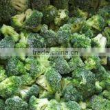 IQF Broccoli thumbnail-4