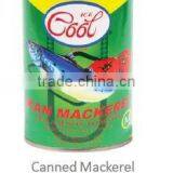 Canned Mackerel thumbnail-1