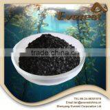 Top Application Economical Price Organic Seaweed Based Fertilizer thumbnail-2