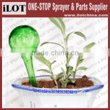 Taizhou iLOT glass material watering flower and plant watering device