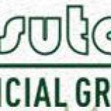 Wuxi Leisutan Artificial Grass company limited