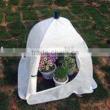 Mini Greenhouse thumbnail-1