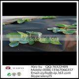 1m*15.24m Gardening Used Non-woven Membrane, the Small Slice Family Pack thumbnail-6