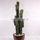 SJ3001015 Hot artificial cactus plant plastic cactus craft plant/indoor decorative cactus