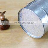 2016 Hot Selling Decorative Watering Can, Teapot Watering Can, Antique Rustic Metal Flower Pot thumbnail-4