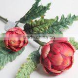 Natural Plastic Dragon Fruit Plant Decorative Fruit Plant for Decoration thumbnail-3