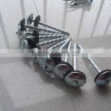 Electro Galvanized Roofing Nail thumbnail-1