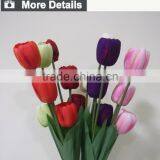 Colorful Wholesale Cheap Tulip Flower for Decoration thumbnail-5