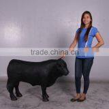 Definitive Angus Looking Right thumbnail-6