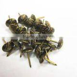 Profassional Product Sofa Decorative Nail/ Antique Furniture Nail/sofa Nail thumbnail-1