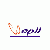 Hangzhou Fuyang WPI & E Co., Ltd.