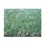 OEM 12800Dtex 25mm Monofilament Yarn Artificial Landscaping Turf thumbnail-1