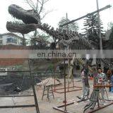 2015 Dinosaur Skeleton Model for Dinosaur Park for Kid thumbnail-2