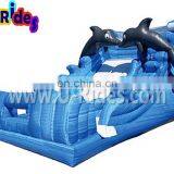 Dolphins Inflatable Water Slide
