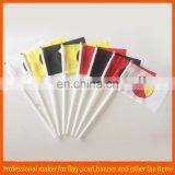 Colorful Customed Cheering Hand Held Flags