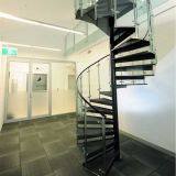 Modern Stainless Steel Glass Spiral Staircase With Stainless Steel Balustrade thumbnail-2