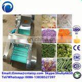 Carrot Cabbage Cutting Blades Fruit and Vegetable Grinding Machine Multi-function Fruit and Vegetable Cutting Machine thumbnail-5