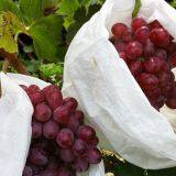 Non Woven Fabrics For Planting Bags CHINA thumbnail-2